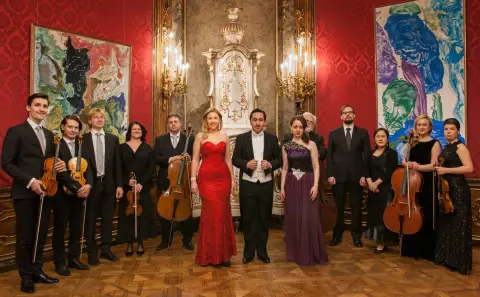 Vienna Concert & Dinner